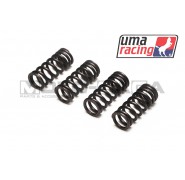 UMA Racing Valve Springs - Honda CBR150R(K45G)/Honda RS150R/Winner/Supra/GTR150/Sonic