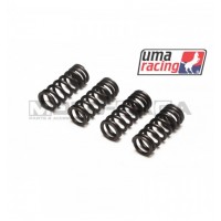 UMA Racing Valve Springs (R/S cams) - Yamaha T135