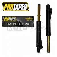 Protaper Racing Lowered Forks (Gold)(OE) - Honda Wave 100/Ex5 Dream