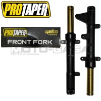 Protaper Racing Lowered Forks (Gold)(OE) - Honda RS150R/Winner/Supra/GTR150/Sonic