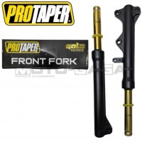 Protaper Racing Lowered Forks (Gold)(OE) - Yamaha Crypton/Jupiter/Vega T115