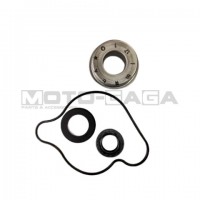 Waterpump Gasket+Seal Repair Kit - Honda CBR150R/CB125R/ Winner/Sonic/GTR150/RS150R