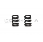 Cardinals Racing Performance Valve Springs - Yamaha T110 2V